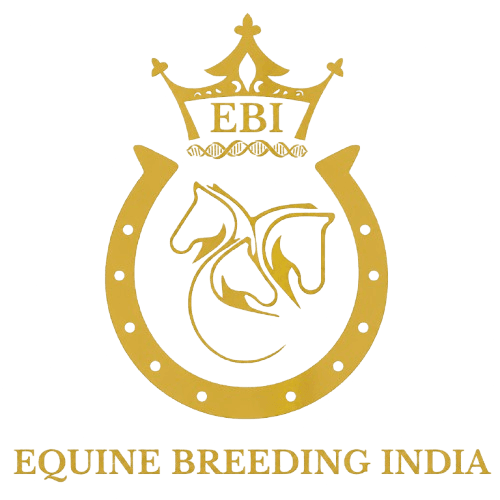 Equine Breeding